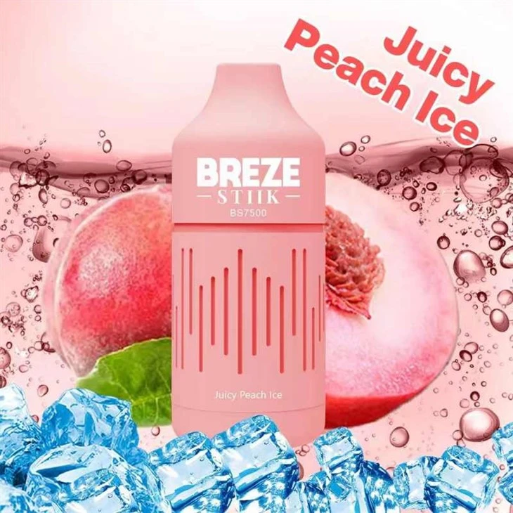 BREZE STIIK BS7500 Vape Disposable
