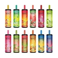 Fluum Bar6000 Puffs