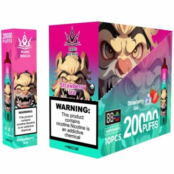 BANG BAJJA 20000 Puffs