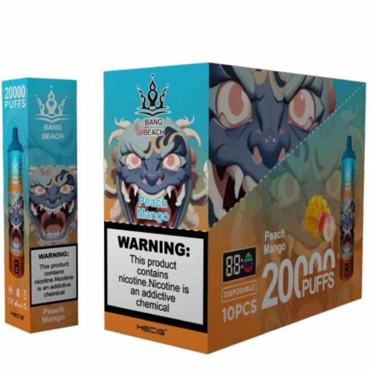 BANG BAJJA 20K Puffs Disposable Vape