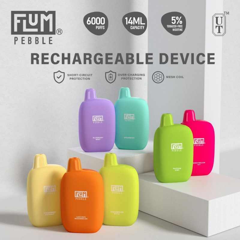 FLUM Pebble 6000 Puffs Disposable Vape