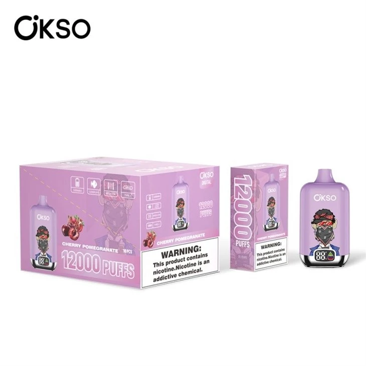 OKSO Digital Box 12K factory