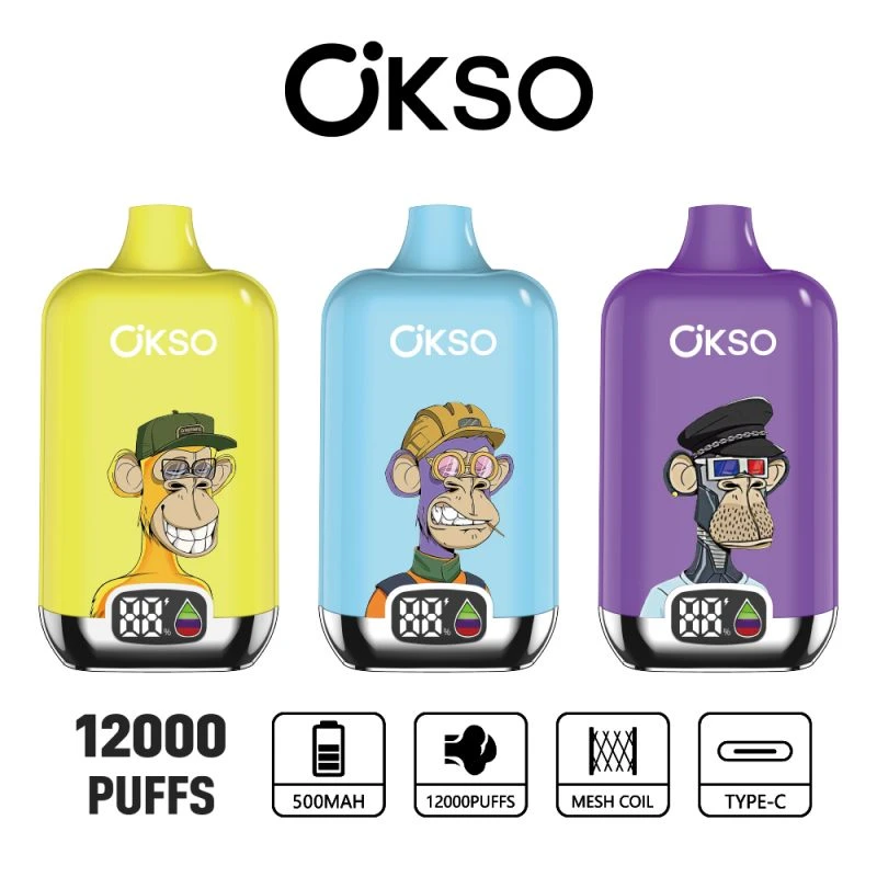 OKSO Digital box 12K 33 OKSO Digital box 12K 33