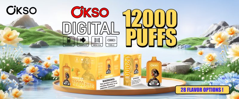 OKSO Digital box 12K 62