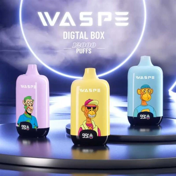 Kaxxa Diġitali WASPE 12000
